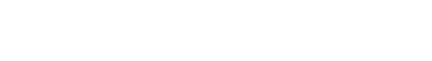 logo light